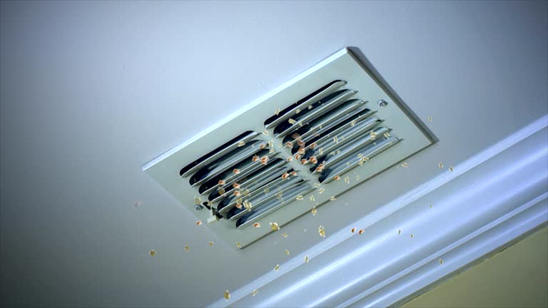 Best Air Duct Cleaning Near Me  in Haw River, NC